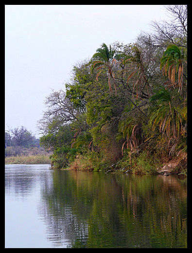 okavango