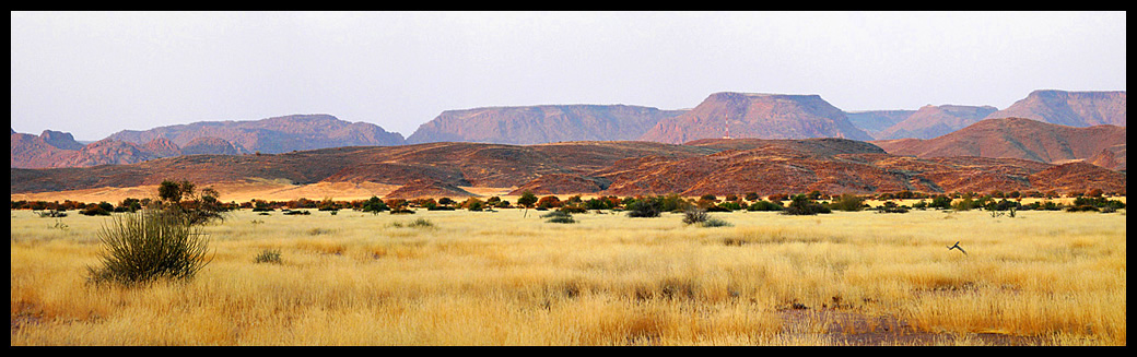 Damaraland