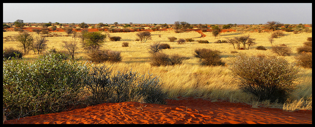 Kalahari