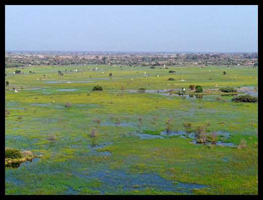 delta de l'okavango