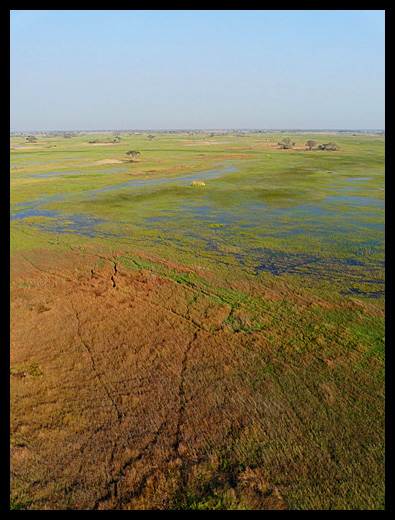 Okavango