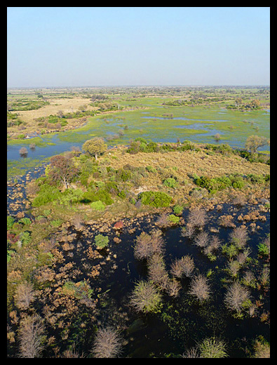 Okavango Botswana