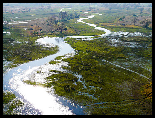 Okavango