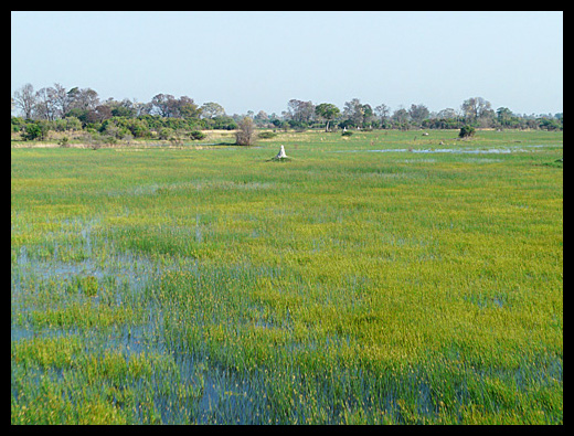 Okavango