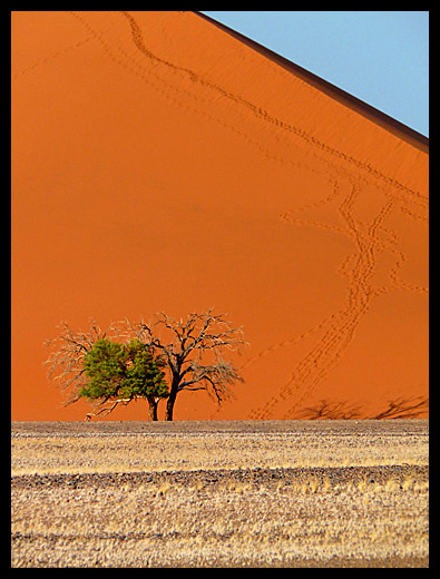 Namib