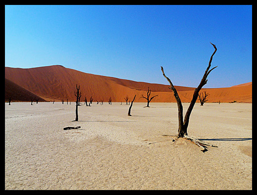 Deadvlei