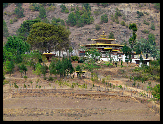 Chimi Lhakhang