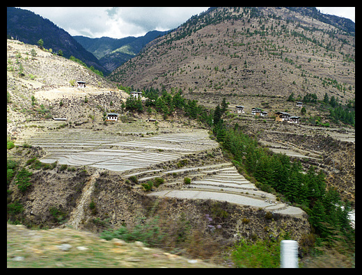 Rizières de l'Ouest bhoutanais