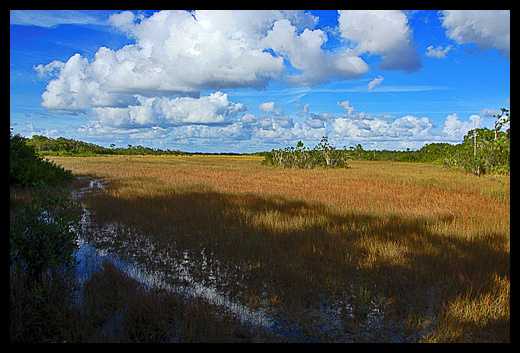 Big Cypress National Preserve
