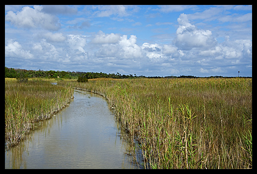 prairie Floride