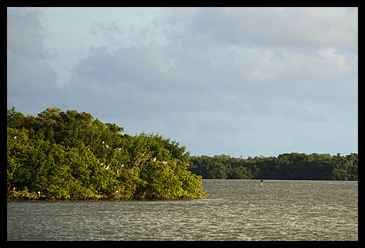 Everglades NP landscape