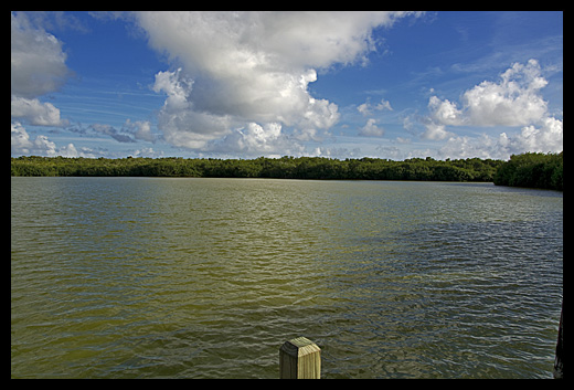 West Lake Everglades