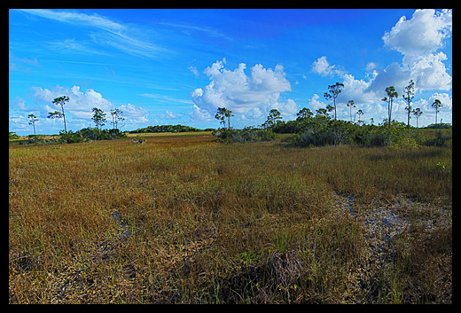 Parc national des Everglades