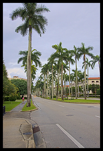 Royal Palm Way