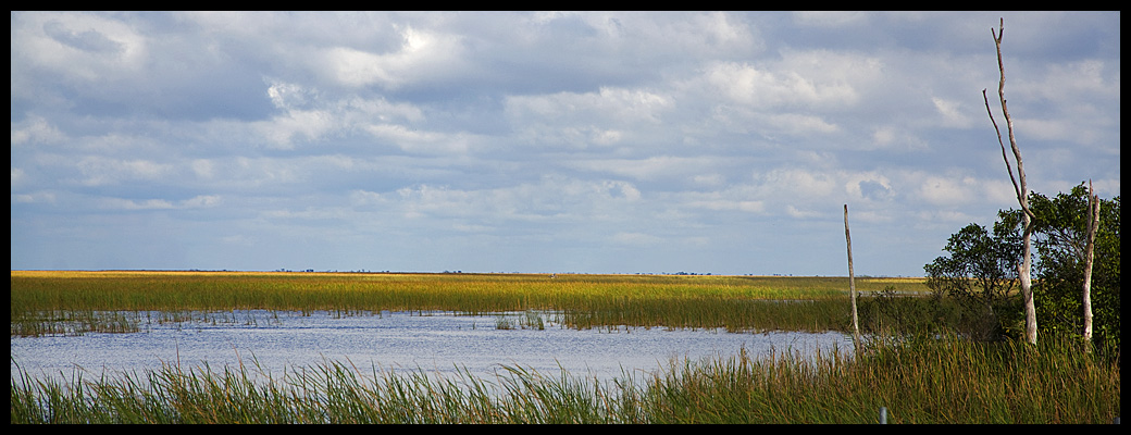 marais Floride