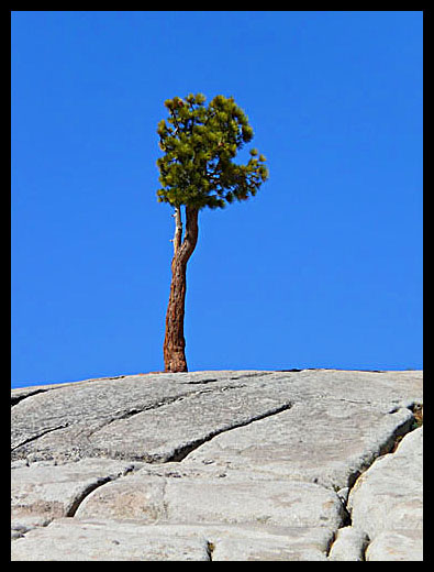 Yosemite
