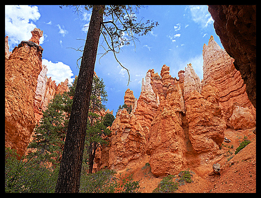 Bryce canyon