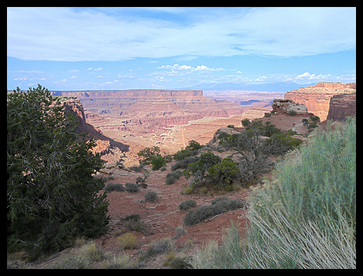 Shafer Canyon