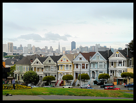 Painted Ladies