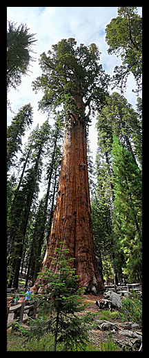 General Sherman