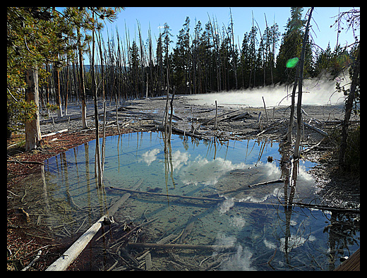 Norris geyser bassin