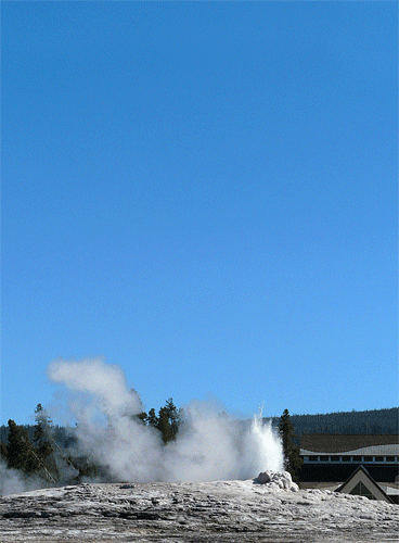 Old Faithful