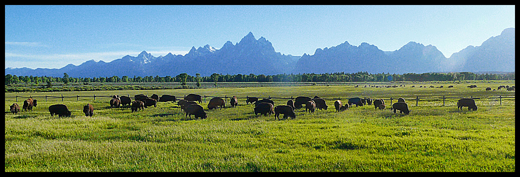 Grand Teton